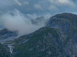 Sommer- Zeit im Norwegen foto