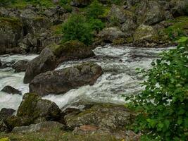 Sommer- Zeit im Norwegen foto