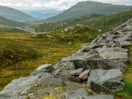 Sommer- Zeit im Norwegen foto