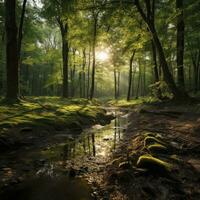 Grün Wald Bäume mit Sonne Strahl Hintergrund, generativ ai foto