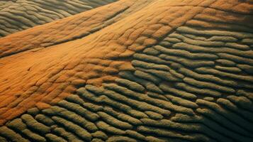 ai generiert Grün Tee Plantage, oben Aussicht Textur foto