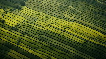 ai generiert Tee Plantage Landschaft, oben Aussicht Textur foto