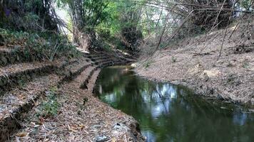ein klein Fluss Das ist fast trocken fällig zu das trocken Jahreszeit im Indonesien foto