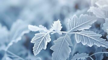 ai generiert schön Gras Blau Morgen ländlich ai generiert foto