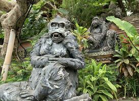 Stein Affen Statuen im heilig Affe Wald. alt dekorativ Affe Skulpturen im bali Ubud heilig Wald foto