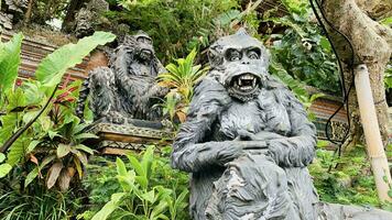 Stein Affen Statuen im heilig Affe Wald. alt dekorativ Affe Skulpturen im bali Ubud heilig Wald foto