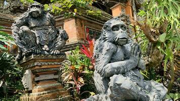 Stein Affen Statuen im heilig Affe Wald. alt dekorativ Affe Skulpturen im bali Ubud heilig Wald foto