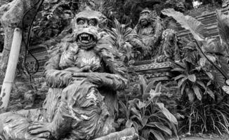 Stein Affen Statuen im heilig Affe Wald. alt dekorativ Affe Skulpturen im bali Ubud heilig Wald foto