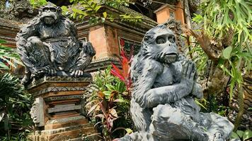 Stein Affen Statuen im heilig Affe Wald. alt dekorativ Affe Skulpturen im bali Ubud heilig Wald foto