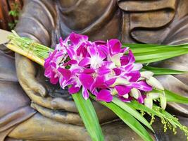 lila Orchidee Blume im Mönch Statue Hände. foto