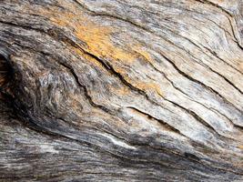 Textur der alten Stumpfholzoberfläche