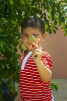wenig Kind pflücken Kirsche von Baum im Garten. 6 Jahre alt Mitte östlichen Junge Picks roh Kirsche Frucht. Familie haben Spaß beim Ernte Zeit. foto