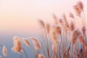 Sanft sanft Wind Gras Blumen im ästhetisch Natur von früh Morgen neblig Himmel Hintergrund. ruhig und Ruhe Bild im minimal Zen Stimmung. Frühling Natur im Pastell- Ton. generativ ai. foto