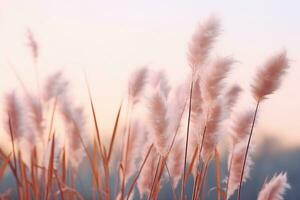 Sanft sanft Wind Gras Blumen im ästhetisch Natur von früh Morgen neblig Himmel Hintergrund. ruhig und Ruhe Bild im minimal Zen Stimmung. Frühling Natur im Pastell- Ton. generativ ai. foto