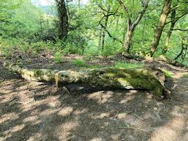 ein Blick auf die Landschaft von Cheshire in Peckforton Hills foto