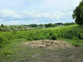 ein Blick auf die Landschaft von Cheshire in Peckforton Hills foto