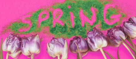 das Inschrift Frühling von dekorativ Grün Gras auf Rosa Hintergrund mit Blumen Tulpen. foto