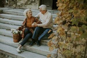 Senior Paar Sitzung auf Treppe mit Korb voll von Blumen und Lebensmittel foto
