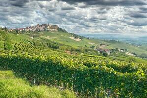 Wein Dorf von la Morra, Piemont, Italien foto