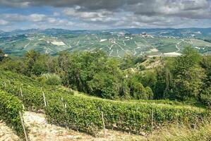 Weinberg Landschaft im Piemont, Italien foto