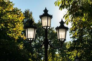 herbstlich Park mit Straße Lampe foto