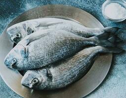 Meer Brachsen dorada Fisch foto