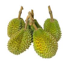 Durian isoliert auf weißem Hintergrund foto