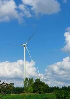 viele Wind Turbine im Wiese. foto