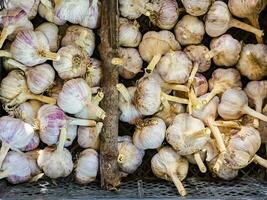 Knoblauch Stapel Hintergrund. frisch geerntet Knoblauch auf Markt Tabelle Nahansicht Foto. Vitamin gesund Essen würzen Bild. Stapel von Knoblauch Köpfe. oben Sicht. groß Stapel von Rosa Knoblauch Glühbirnen foto