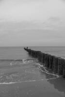 insel wangerooge in deutschland foto