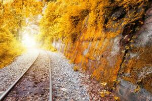 Eisenbahn Spur leuchtenden im golden Wald foto