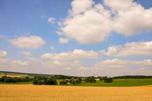 ein Feld von Weizen unter ein Blau Himmel foto