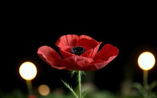 stilisiert rot Mohn auf schwarz Erinnerung Tag Symbol ai generiert foto