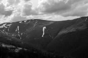 Berge und Wälder schwarz und Weiß Hintergrund foto