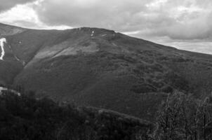 dunkel Berg Wald schwarz und Weiß Hintergrund foto