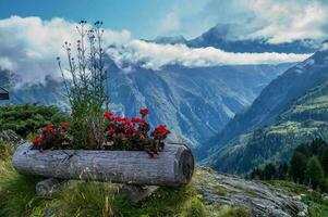 Werkzeugschuppen brünett, Wallis,Schweiz foto