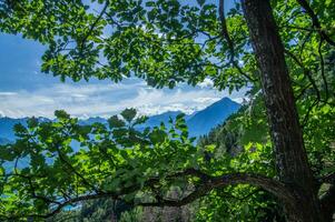 Kehle von Dailey, Wallis, Schweiz foto