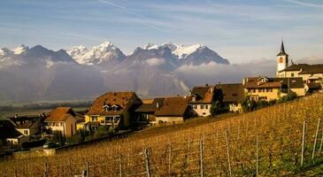 Yvorne, im Waadt, Schweiz foto