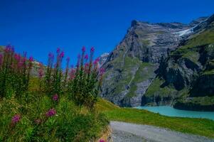 Damm Mauvoisin, Wallis,Schweiz foto