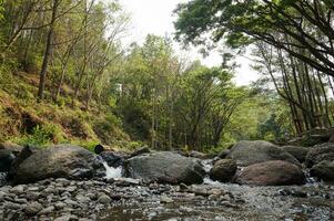 Fluss Strom Wasserfall im Wald Landschaft beim bedengan Camping Boden Malang, Indonesien foto