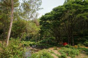 Lager Seite? ˅ und Fluss Strom Wasserfall im Wald Landschaft beim bedengan Camping Boden Malang, Indonesien foto