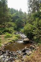 Fluss Strom Wasserfall im Wald Landschaft beim bedengan Camping Boden Malang, Indonesien foto