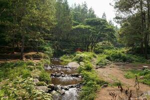 Lager Seite? ˅ und Fluss Strom Wasserfall im Wald Landschaft beim bedengan Camping Boden Malang, Indonesien foto