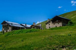 bois noir Ceillac Queyras im hoch Alpen im Frankreich foto