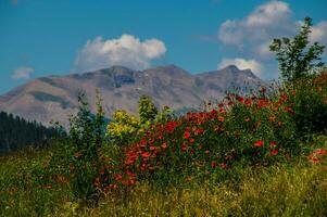 Ceillac Queyras im hoch Alpen im Frankreich foto