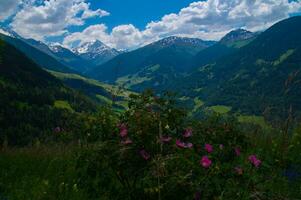 Commeire im orsieres ,Wallis,Schweiz foto