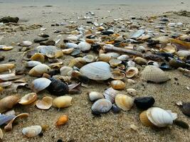 Eindrücke von das endlos Strand beim das Nord Meer im blavand Dänemark foto