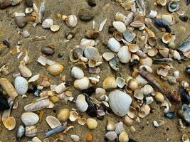 Eindrücke von das endlos Strand beim das Nord Meer im blavand Dänemark foto