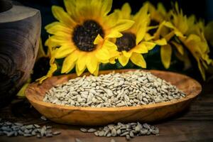 Sonnenblume Helianthus annuus Saat auf Olive Holz foto