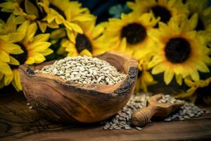 Sonnenblume Helianthus annuus Saat auf Olive Holz foto